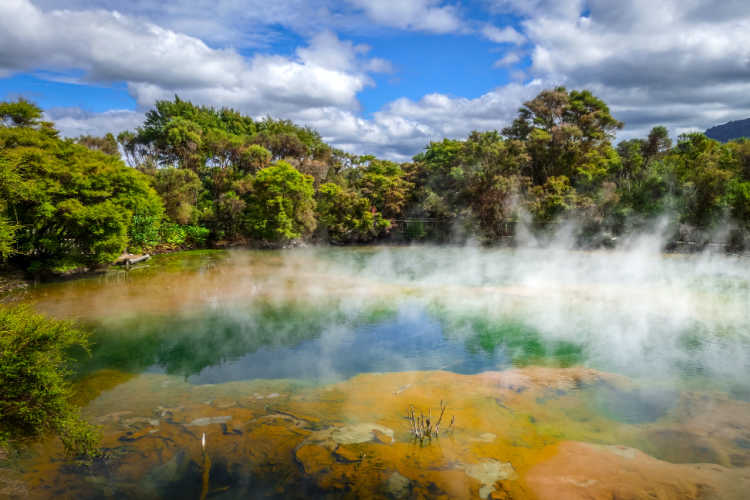Hot springs Rotorua