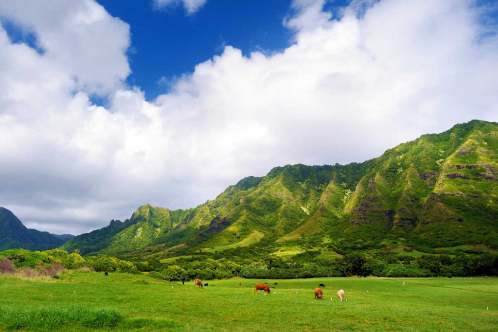 Kualoa Ranch couples trip to Oahu