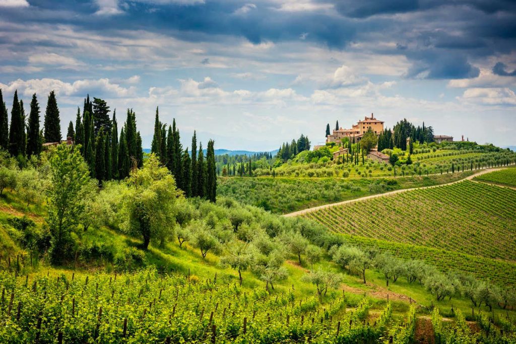 Tuscany estate and vineyards