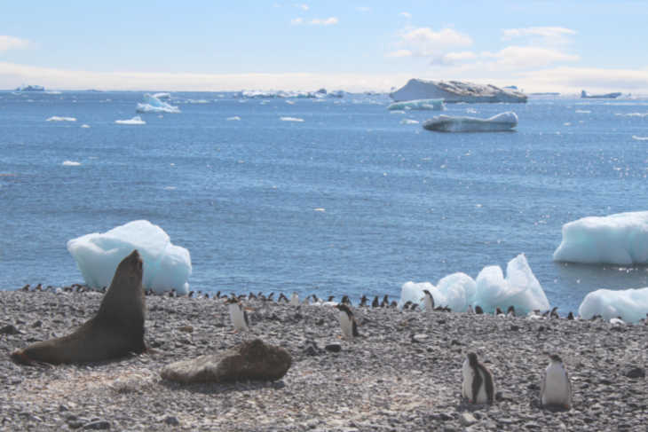 Family Vacation to Antarctica-Multigenerational Vacations