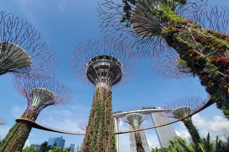 Singapore Family Trip Gardens by the Bay The Travel Sisters