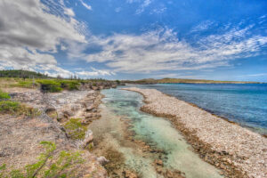 Beach Bonaire Washington National Park
