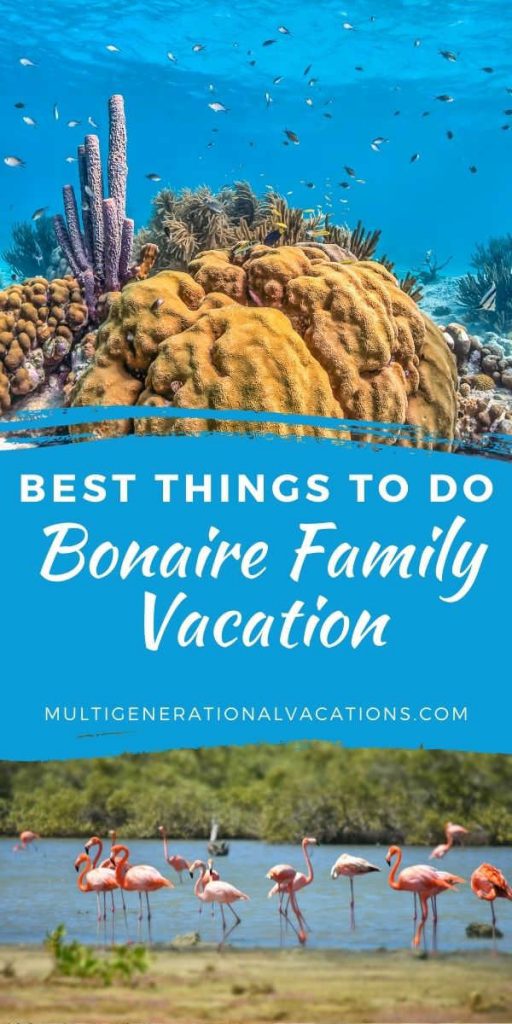 Bonaire Vacation with All Ages-Multigenerational Vacations
