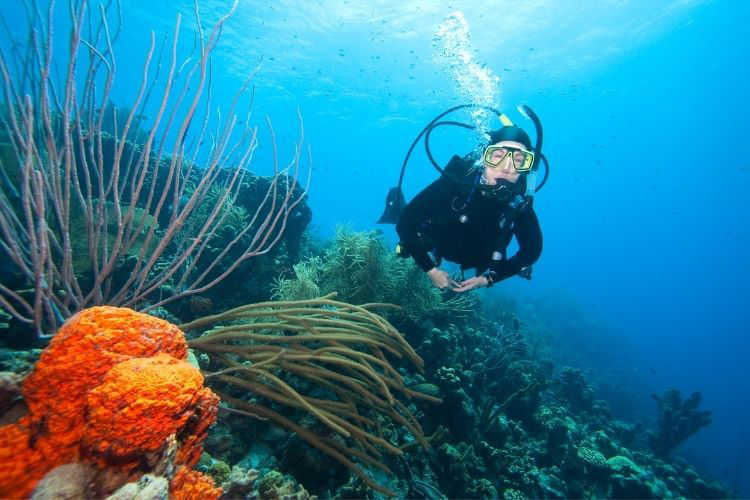 Bonaire scuba diving-Multigenerational Vacations