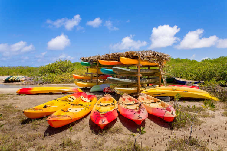 Kayak mangrove Bonaire vacation-Multigenerational Vacations