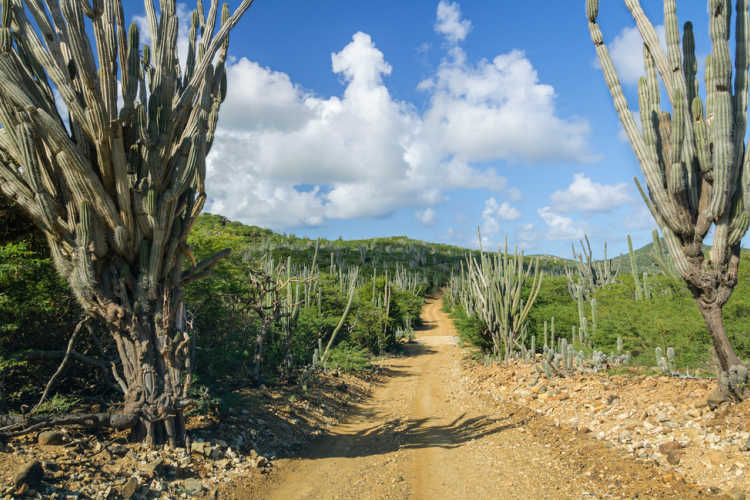 Washington Slagbaai National Park-Multigenerational Vacations