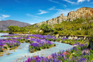 Clay Cliffs New Zealand
