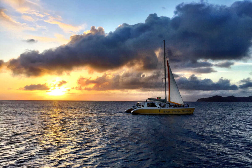Sailing Caribbean catamaran