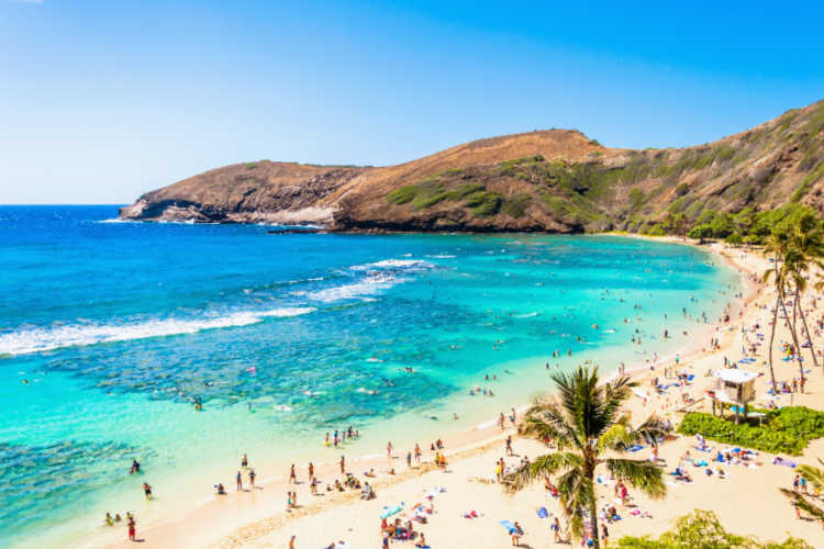 Snorkeling in Hawaii