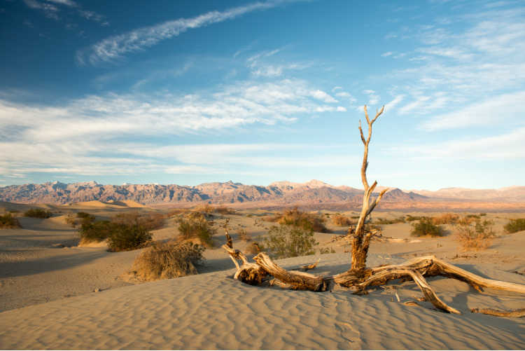 Death Valley National Park