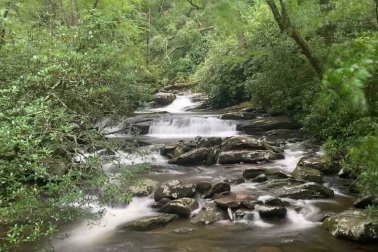 Great Smoky Mountains-Kirsten Maxwell