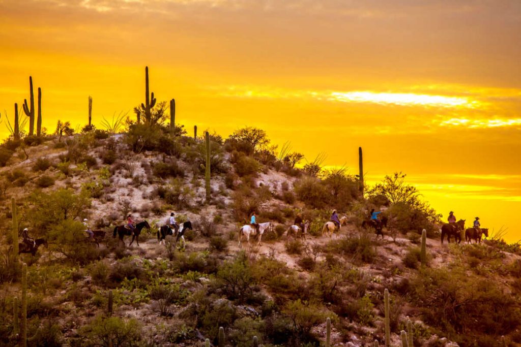 Tanque Verde trail ride sunset saguaro cactus