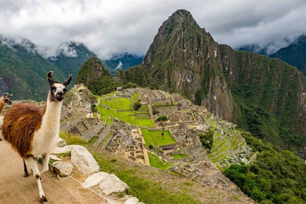 Machu Picchu tour with llama
