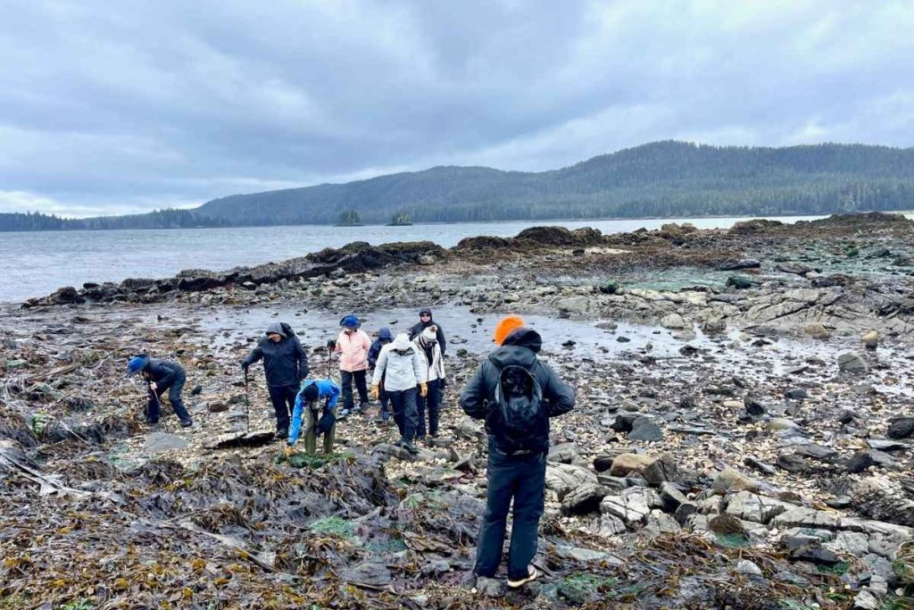 UnCruise Adventures Alaska shore walk