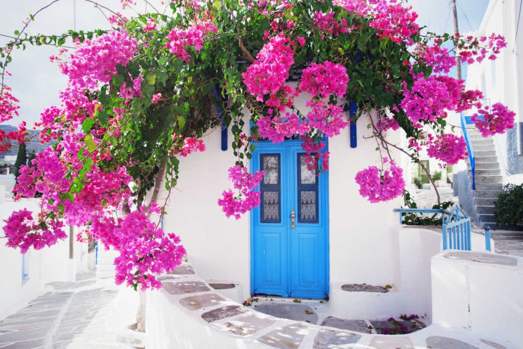 Paros villa