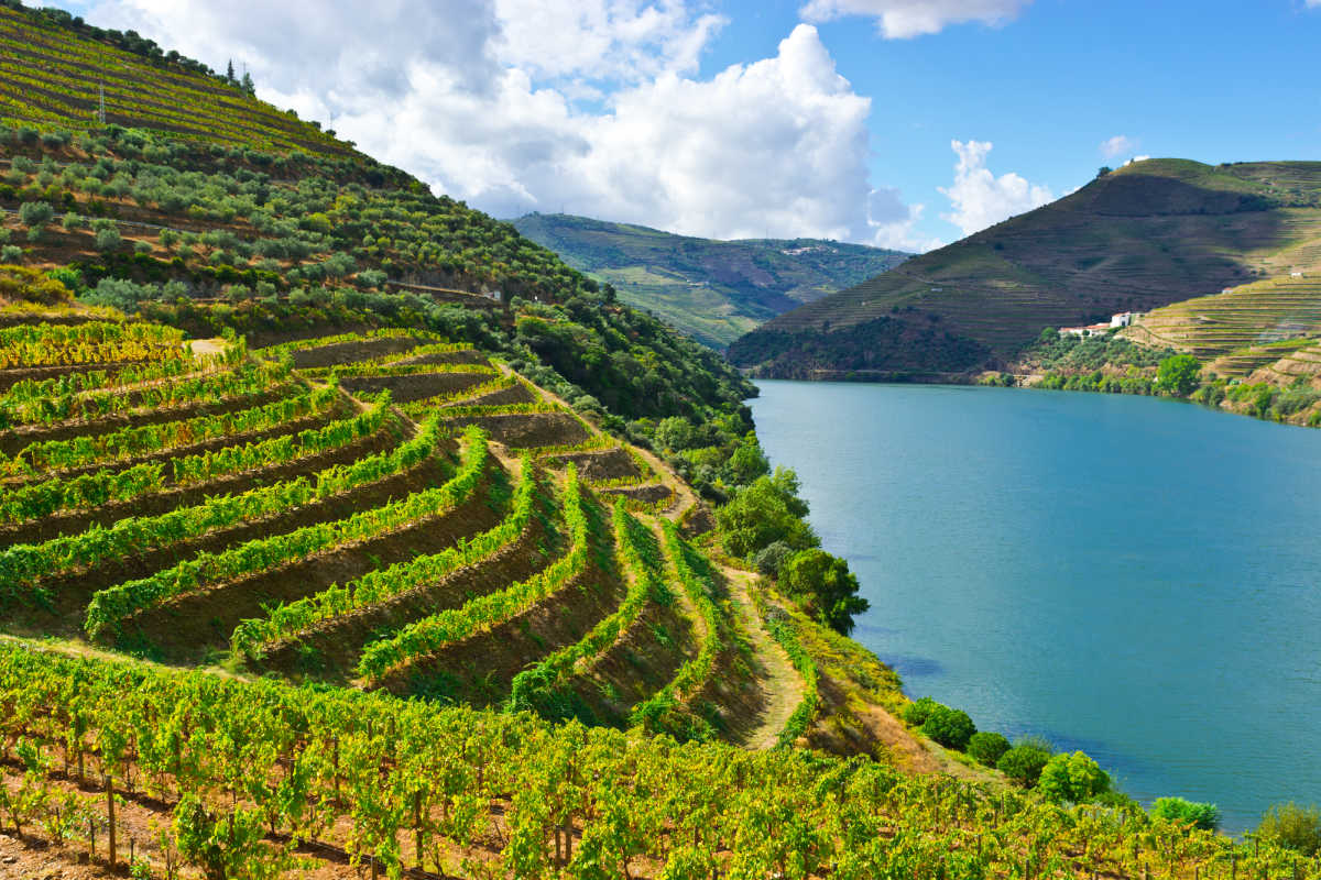 Douro Valley Portugal best wine regions in the world