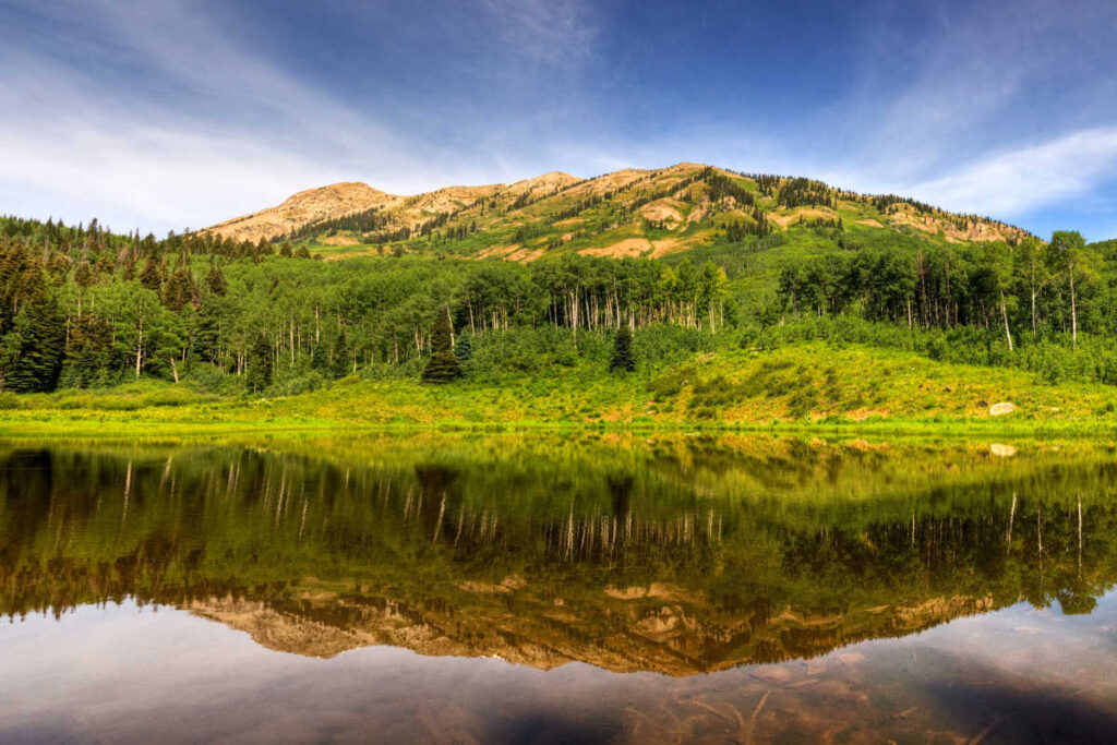 Pond near crested butte Colorado