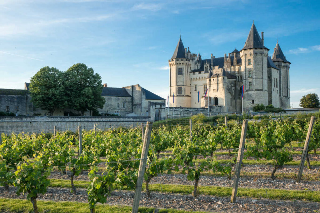 Loire Valley vineyards