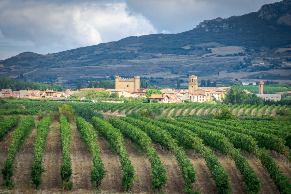 La Rioja Spain vineyards-2