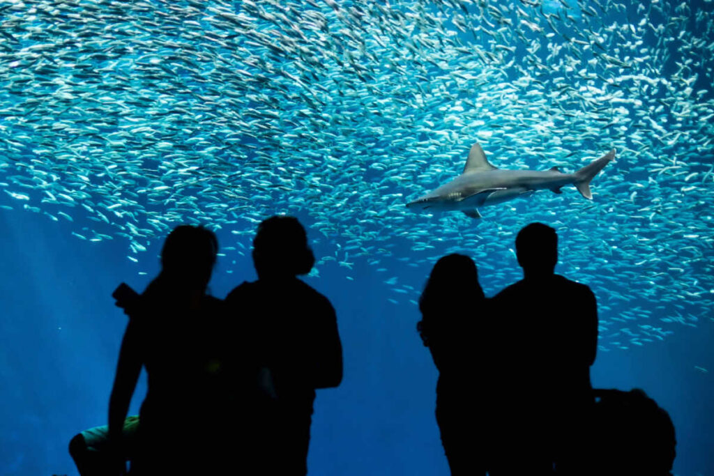 Monterey Bay Aquarium family reunion destinations in California